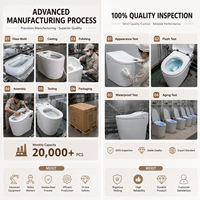 WC suspendu sans bride couleur mate, WC flottant en céramique avec abattant à fermeture douce, couleur personnalisée pour hôtel, villa, vente en gros OEM