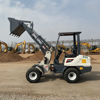 Nouvelle livraison gratuite Petite chargeuse-pelleteuse électrique 800 kg à batterie 4x4 avec pelle frontale, mini-dumper et chargeuse sur roues avec boîte de vitesses