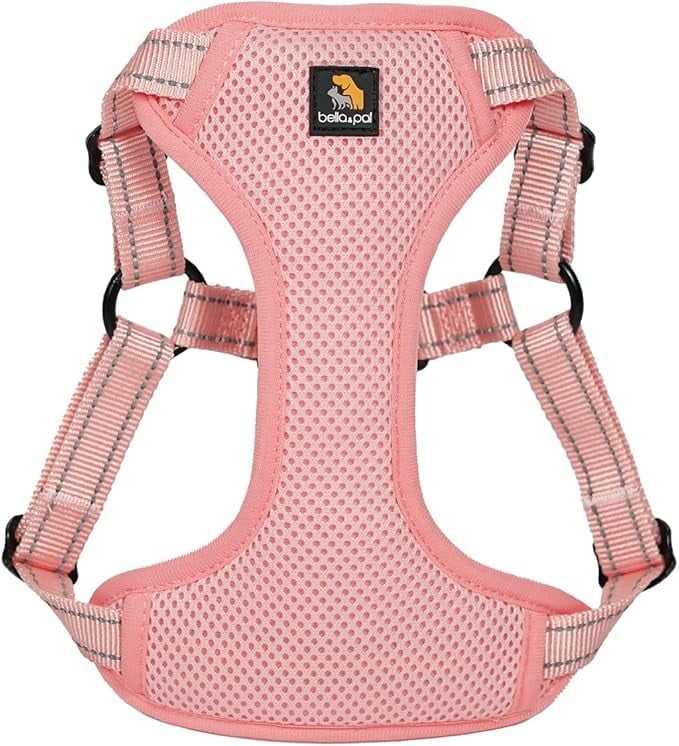 โครอลพิงก์