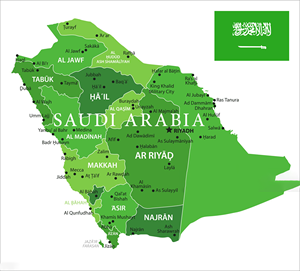 Доставка в Саудовскую Аравию QCYT Air sea lcl DDP Доставка из shenzen от двери до двери Экспресс-Доставка в Саудовскую Аравию - Product Image 3
