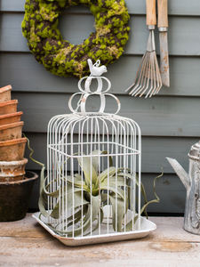 Dekoratif düğün Centerpiece Vintage sıkıntılı Metal masa kafes kuş masa süsü kafes - Product Image 2