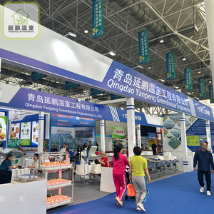 Serre hydroponique pour plantes agricoles en matériau PE de petite taille - Product Image 6