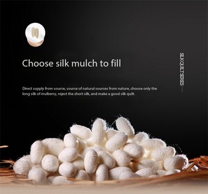 Promosi pabrik 100% kapas sate jacquard tebal musim dingin quilt core 100% selimut sutra murbei - Product Image 5