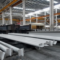 Estructura de Acero de Alta Resistencia para Hangares de Aviones, Garajes para Vehículos, Almacenes Industriales, Edificios de Fábrica de Múltiples Pisos, Construcción EPC