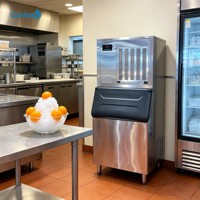 Machine à glaçons de qualité supérieure avec corps métallique, design élégant et simple, pour supermarché