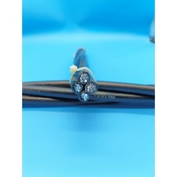 Câble Aérien en Aluminium JKLYJ XLPE 0,61 kV 10-400 mm² Résistant aux Intempéries et au Vieillissement pour Ligne de Transmission Aérienne Basse Tension
