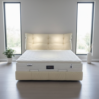 Matelas mousse latex haut standard haut de gamme, tailles Twin Queen, antidérapant, facile à nettoyer, soulage douleurs dorsales