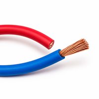Cable de Construcción con Aislamiento de PVC y Cobre Trenzado H07V-R 450/750V