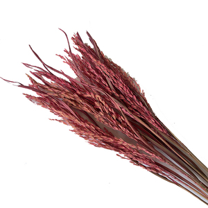 <span class=keywords><strong>ข้าว</strong></span>แหลมสำหรับประดับตกแต่ง<span class=keywords><strong>บ้าน</strong></span>,ดอกตะปูสำหรับตกแต่งร้านกาแฟดอกไม้งานแต่งงานต้นไม้ธรรมชาติสีสันสดใส - Product Image 4