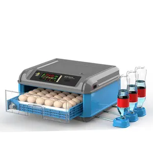 Contrôle entièrement automatique de l'humidité et de la température Couveuse à 64 œufs de poule