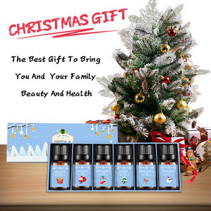 Private Label 100% Bio Elegante ätherische Öl <span class=keywords><strong>Synergy</strong></span> Blend Weihnachts geschenkset für Aroma therapie Diffusoren Massen preis 6/10ml - Product Image 3