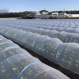 Fiberglass Garden Stakes, Wholesale for Greenhouse Plant Support, Frost Protection and Bird Deterrent - Product Image 4
