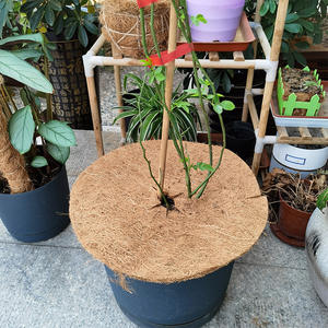 Matériaux naturels avec protection contre les mauvaises herbes et les racines Tapis plat pour <span class=keywords><strong>pot</strong></span> de fleurs en cocotier pour l'art floral du jardin - Product Image 2