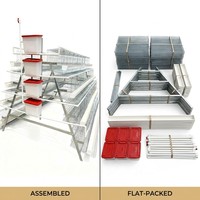 Cages en batterie galvanisées de type A pour l'élevage de poules pondeuses, poulailler pour poulets de ferme