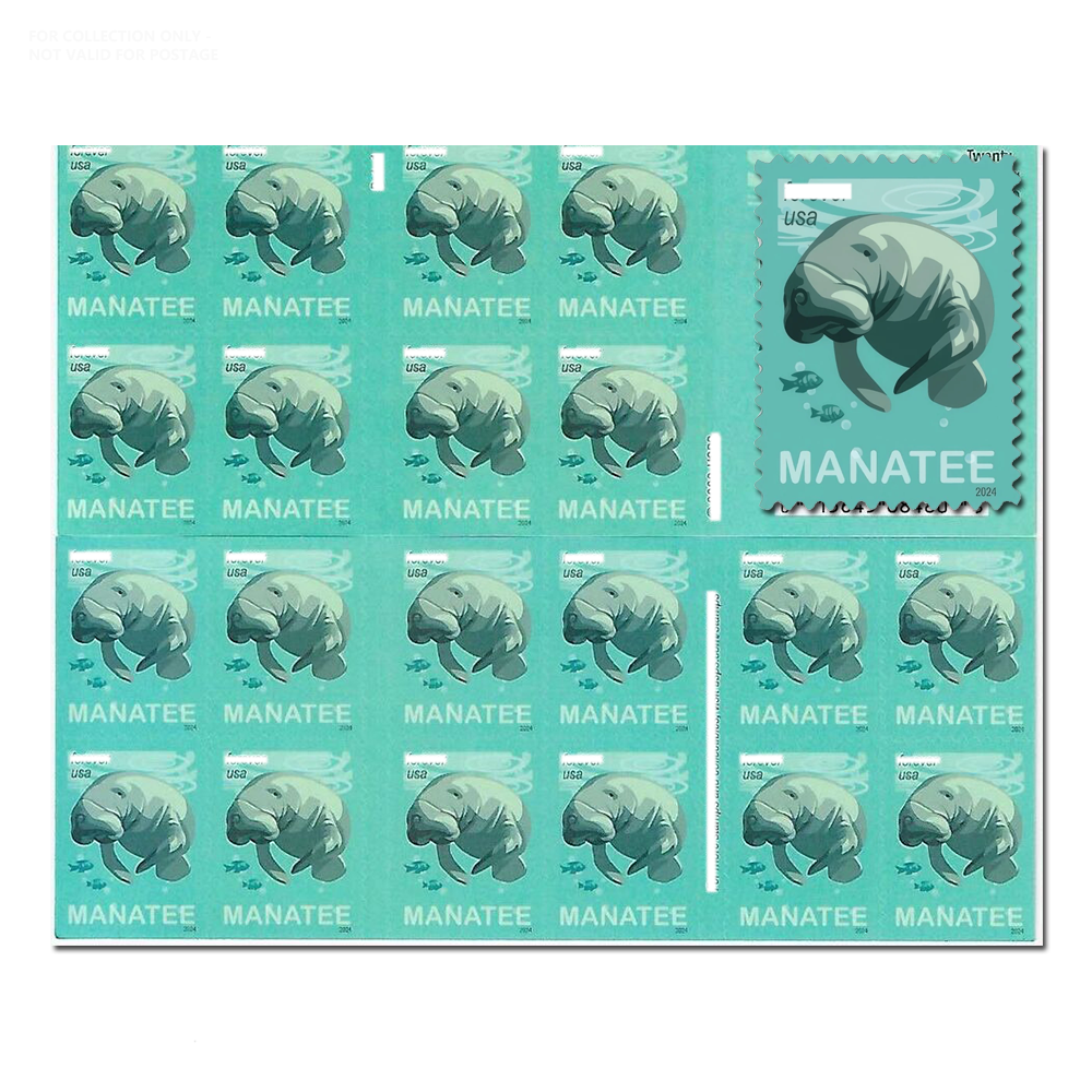 White Y205 2024 Save Manatees