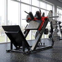 Máquina de Sentadillas con Peso para Gimnasio Profesional, Equipo de Fitness con Placas de Peso, Construcción Estable, Precio Directo de Fábrica