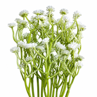 Bouquet de Gypsophile Artificielle en Plastique en Gros, 6 Couleurs, Aspect Réaliste, pour Mariage, Fête, Décoration Intérieure, Remplissage Floral en Vrac