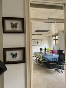 Adesivi <span class=keywords><strong>Murali</strong></span> 3D con Vista Mare in PVC, Vendita Diretta dei Produttori, Decorazioni per Finestre Personalizzate, Impermeabili, Resistenti ai Raggi UV, Lucidi - Product Image 6