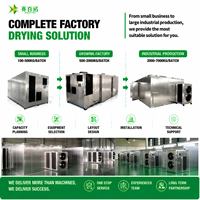 Industriële vleesdroger/voedseldroger voor 300 kg, geschikt voor groenten, gedroogde vis, garnalen, inktvis, ansjovis en fruit.