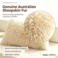 Housse de coussin en peau de mouton australienne de luxe, véritable fourrure de mouton, pour canapé, lit, salon, décoration intérieure