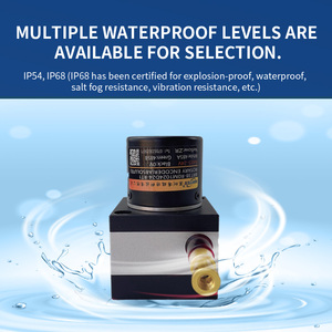 Nhà Máy Bán buôn Trung Quốc 0.2W 12V IP68 mine-sử dụng cảm biến dịch chuyển cho dự án xây dựng cảm biến - Product Image 4