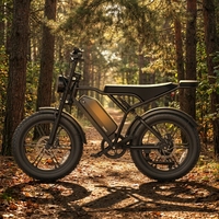 Vélo électrique HeyBike Style 20 pouces à pneus larges, longue autonomie, frein à disque hydraulique, batterie au lithium pour adulte, vélo tout-terrain