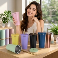 Gourde isotherme à double paroi 500 ml 750 ml avec paille métallique réutilisable, élégant gobelet en acier inoxydable, tasse portable et fine, logo personnalisé