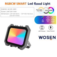Projecteur LED RGB d'Ambiance pour Fête, Lumière Changeante de Couleur, Télécommande, Contrôle TUYA, Projecteur d'Extérieur pour Paysage, Lampe Maison Intelligente