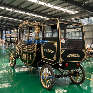 Calèche de mariage électrique à prix abordable avec pneus en caoutchouc massif et carrosserie métallique haute résistance pour événements touristiques et mariages - Product Image 5
