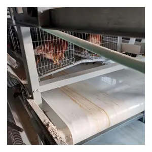 Poultry House Automatic Manure Scraper Removal Machine Pig Farm Manure Scraper System