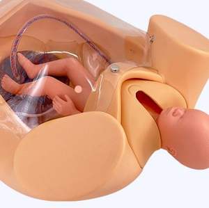 Doğum sırasında ebelik öğretmek için doğum modeli için gelişmiş kapsamlı beceri eğitim modeli - Product Image 6