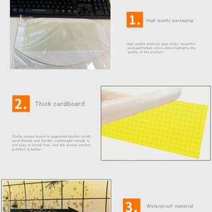 กระดาษดักแมลงแบบพัดสองด้านสำหรับโคมดักแมลง UV - แผ่นกาวเหนียวพิเศษ - Product Image 4