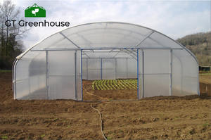 Invernadero de un Solo Tramo con Acero Galvanizado - Product Image 4