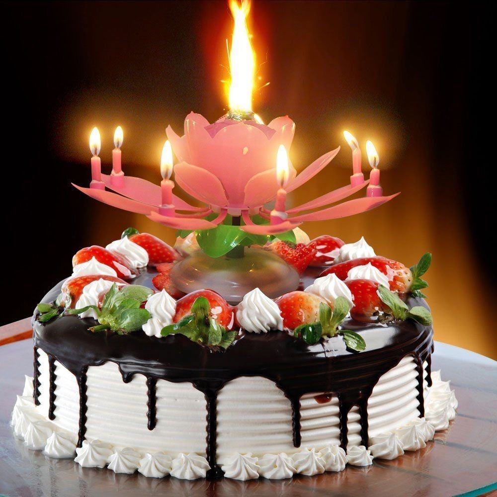 Singing Birthday Digital Happy Wholesale Beautiful Blossom Romantic Music Lotus Flower Petal Shape Party Birthday Cake Candle