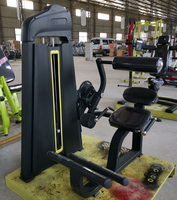 ASM-B1022 Appareil Commercial d'Extension Dorsale, Équipement de Fitness pour l'Extension du Dos