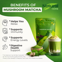 Mélange de poudre de matcha biologique premium aux champignons fonctionnels pour boissons - Thé en vrac en sachet, nouveau, 100% pur et fait main