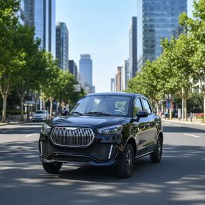 Véhicules électriques en gros d'usine avec climatisation, couleur personnalisée, véhicule électrique chinois pour chariot de tourisme en zone touristique - Product Image 1