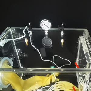 Caja de Guantes Personalizada con Cámara de Vacío, Caja de Vacío de Gas Inerte Acrílica para Laboratorio, Caja de Guantes Anaeróbica - Product Image 5