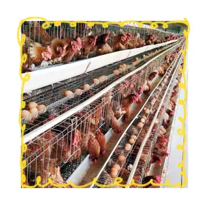 A type egg layer cage chickens for 5000 birds laying hens cage battery animal chicken cages for poultry farm