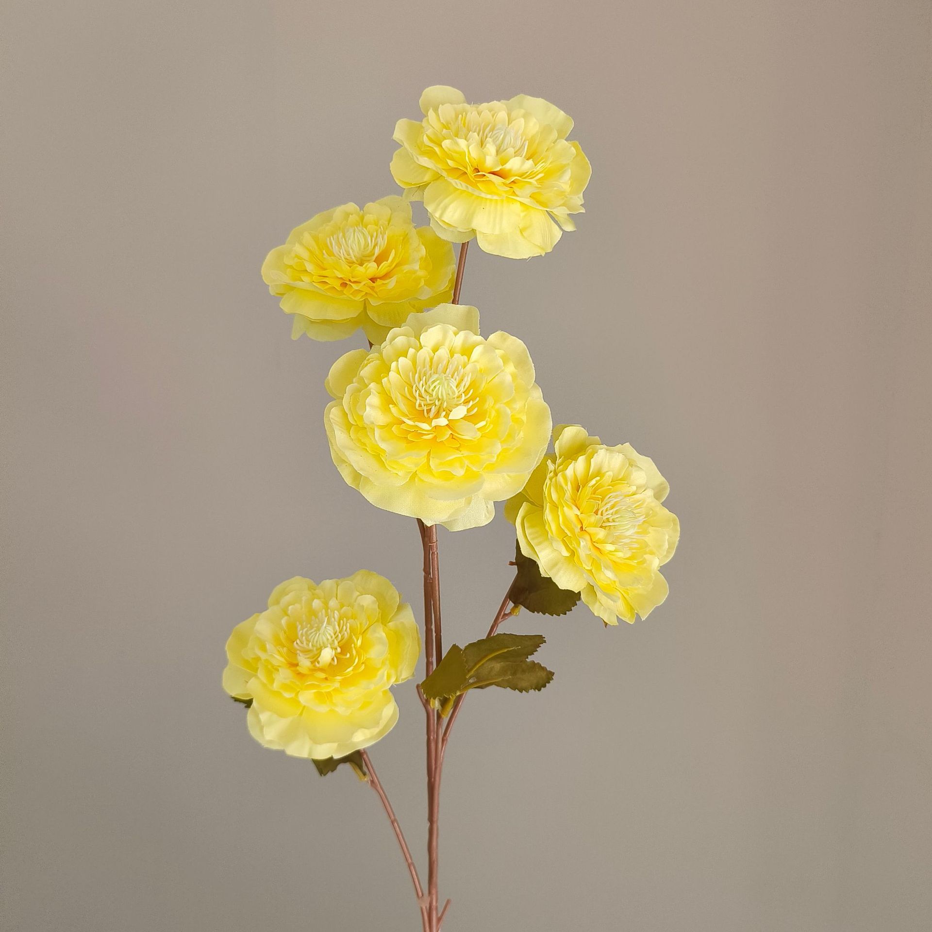 8#