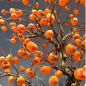 Nouvel <span class=keywords><strong>Arbre</strong></span> de <span class=keywords><strong>Kaki</strong></span> de Style Chinois Premium - <span class=keywords><strong>Arbre</strong></span> Fruitier Artificiel Réaliste pour la Décoration Intérieure et Extérieure - Product Image 5