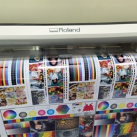 Impresora de Inyección de Tinta Roland RA640 Usada de Alta Calidad, Cabezal de Impresión XP600, Impresión Automática, Portátil, Sin Bordes, Flex, 1200dpi