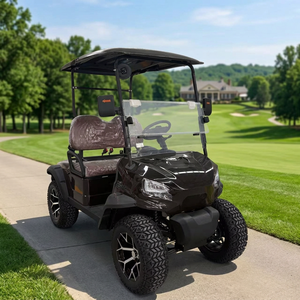Voiturette de golf électrique tout-terrain surélevée à deux places - Product Image 3