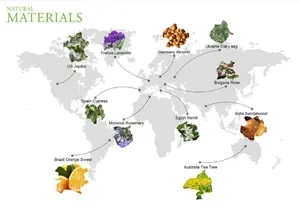 Óleo de fragrância de marca de luxo concentrado para difusor de aroma, máquina difusora de perfume de óleo para coleção de hotéis