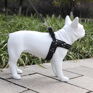Fournitures <span class=keywords><strong>pour</strong></span> animaux de compagnie : Collier <span class=keywords><strong>pour</strong></span> chien <span class=keywords><strong>en</strong></span> sangle, laisse, corde de guidage, chaîne <span class=keywords><strong>pour</strong></span> chien, <span class=keywords><strong>harnais</strong></span> <span class=keywords><strong>en</strong></span> <span class=keywords><strong>V</strong></span> - Product Image 3