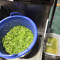 Industriële centrifugale fruit- en groente-dehydrator, automatische bladgroente-ontwateringsmachine, centrifuge