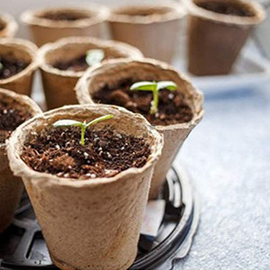 Pots de <span class=keywords><strong>fleurs</strong></span> ronds en papier biodégradables, organiques, jetables et compostables pour pépinière - Product Image 5