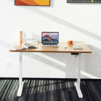 Échantillon gratuit de mobilier ergonomique pour la maison et l'école, design moderne, bureau réglable en hauteur à un prix avantageux