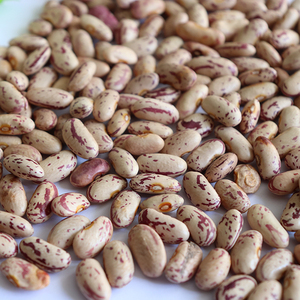 Fagioli Lenticolari Sfumati Chiaro all'Ingrosso Nihewan, Fagioli di Mirtillo Rosso Essiccati - Product Image 3