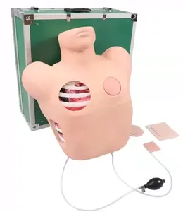 Medical Science Pleural Puncture Drainage Simulated Pleural Puncture Drainage Model